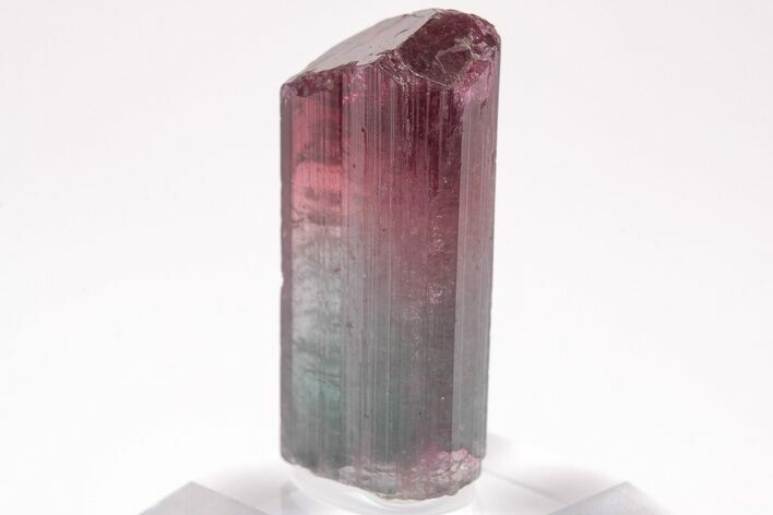 Bi-Colored Elbaite Tourmaline Crystal - Coronel Murta, Brazil #206250
